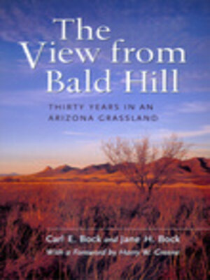 cover image of The View from Bald Hill